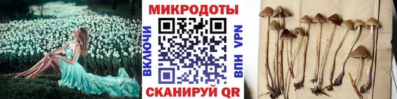 OMG ссылки  Киров  Псилоцибиновые грибы ЛСД  где купить  