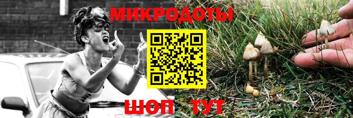 Киров  Галлюциногенные грибы прущие грибы  Галлюциногенные грибы ЛСД  Вход с VPN 