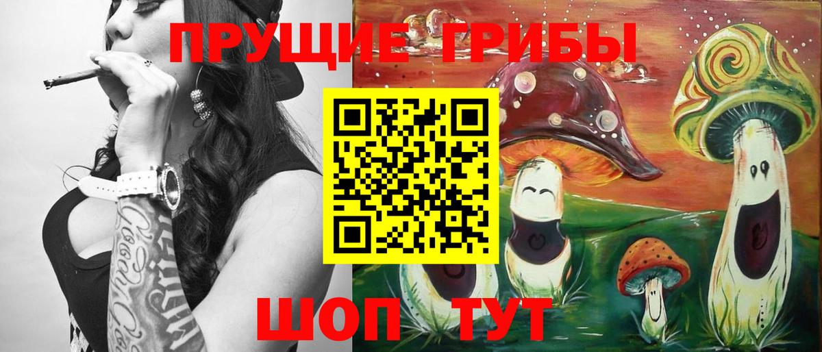 Псилоцибиновые грибы мицелий Киров