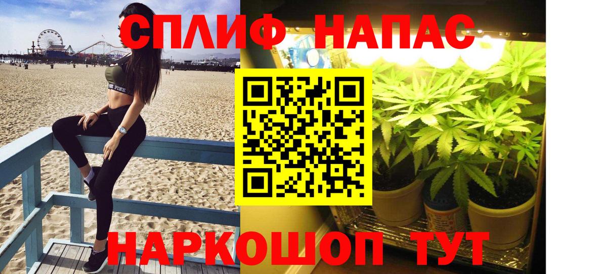 Бошки марихуана семена  Шишки марихуана OG Kush  Марихуана Bruce Banner  Конопля Bruce Banner  Вход с VPN  Киров 